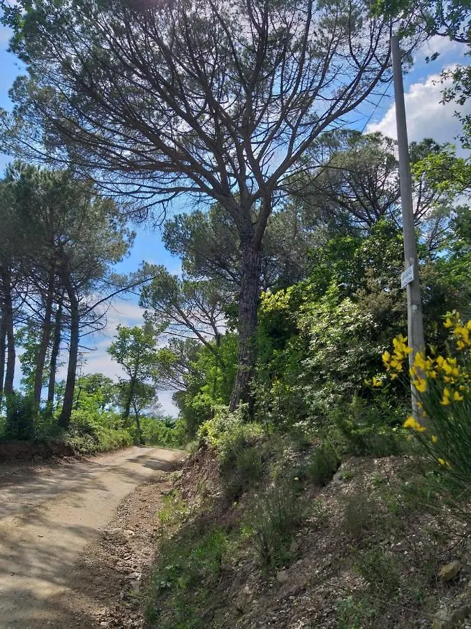 Villa Chiantivillas Poggio A Vento Badia A Passigano